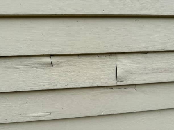 Best Siding Maintenance  in Sundance, WY